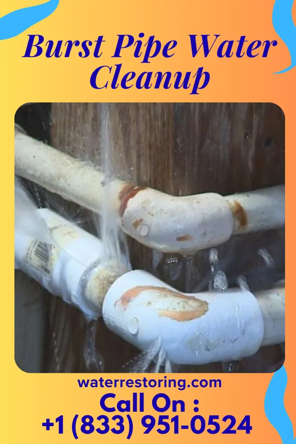 Burst Pipe Water Cleanup in Alvo, NE