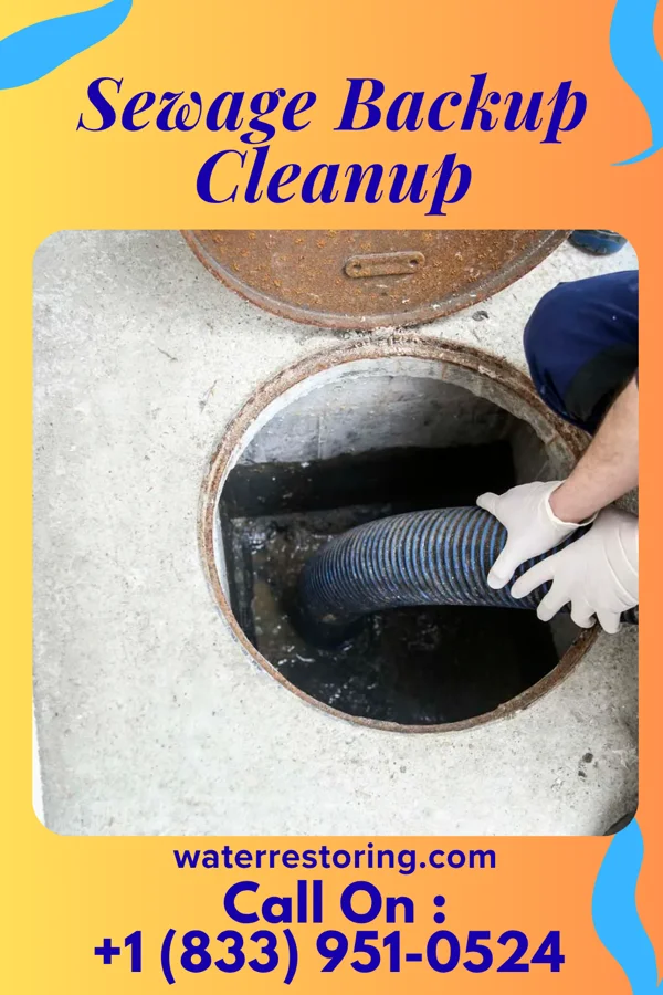 Sewage Backup Cleanup in Alvo, NE